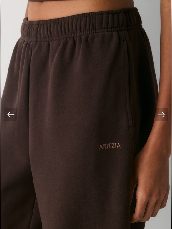 Aritzia Pants - NWT Aritzia Cozy Sweatfleece Mega Fit Fleece Jogger 2XS Short Mocha Brown